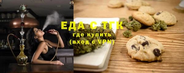 стаф Инта