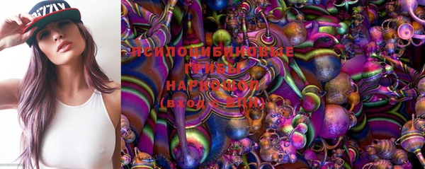 Альфа ПВП Карпинск