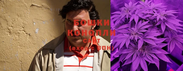 Альфа ПВП Карпинск