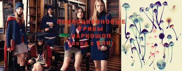 Альфа ПВП Карпинск
