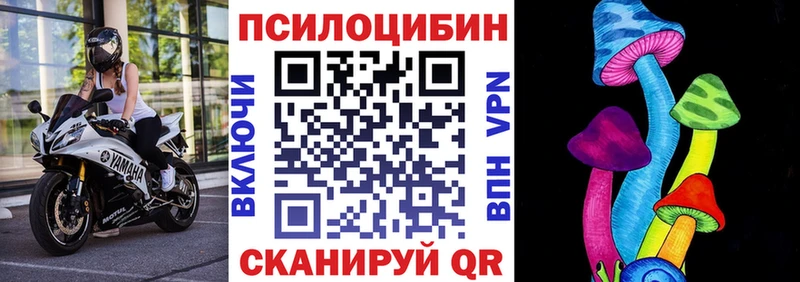 Псилоцибиновые грибы мухоморы где купить наркоту Домодедово