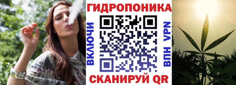 Каннабис сатива  Домодедово 